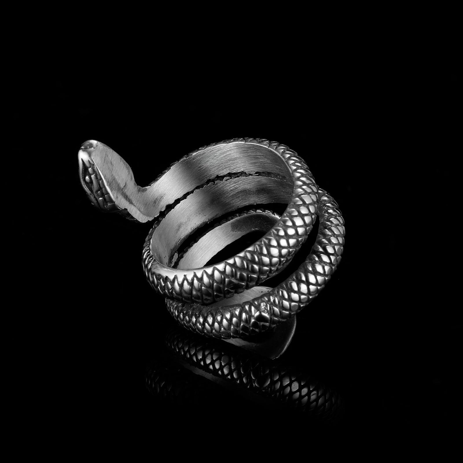 SILVER SNAKE.